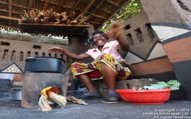 African Biomas Energy Conservation Project