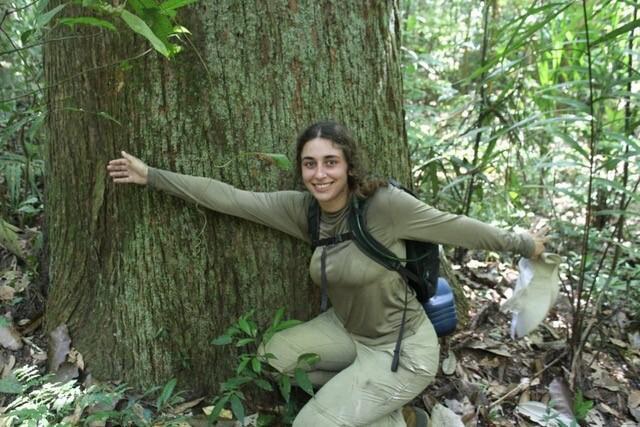 Amazon Rainforest project