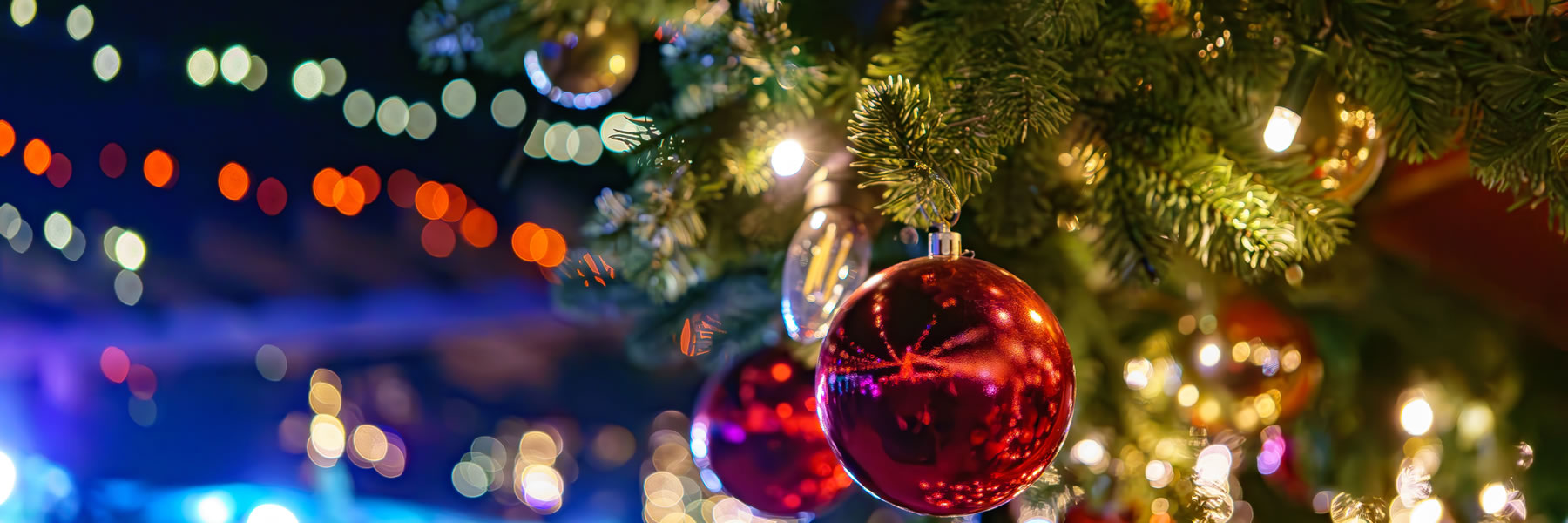 Festive Breaks 
